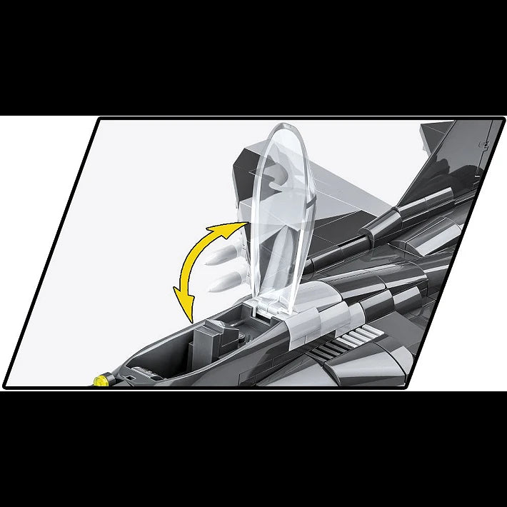 MIG-29 2in1 (PL/UKR)