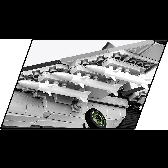 MIG-29 2in1 (PL/UKR)